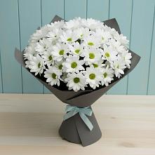 Букет цветов из:  Хризантемы #REPLACE_PRED# Нижний Бестях
