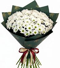 Букет цветов из:  Хризантемы в Нижний Бестях